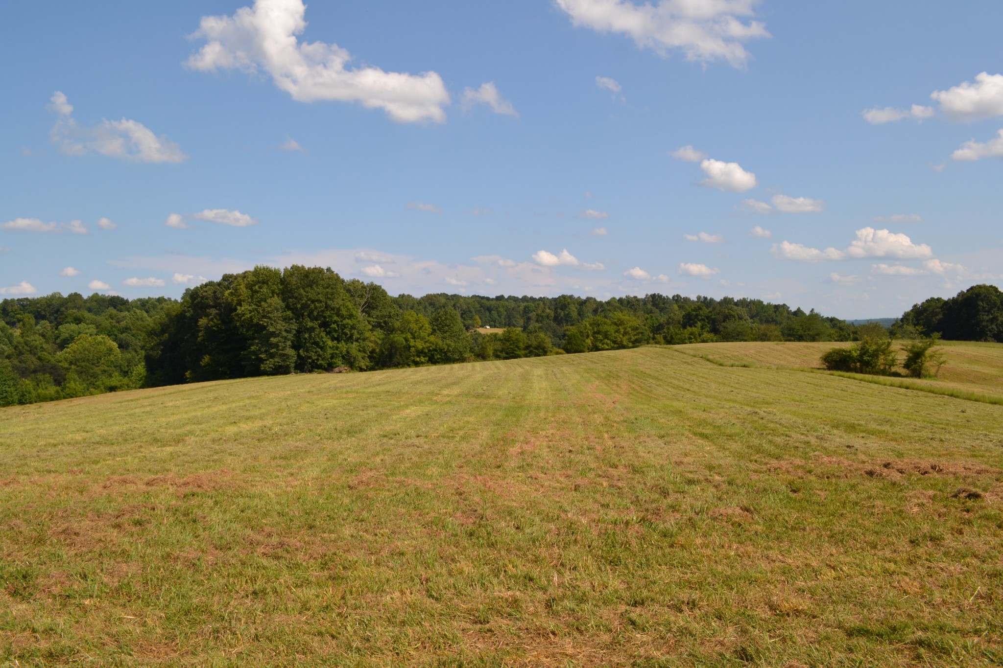 3 Kirkland Road Indian Mound, TN 37079 - Photo 2 of 6 Gallery Image 2