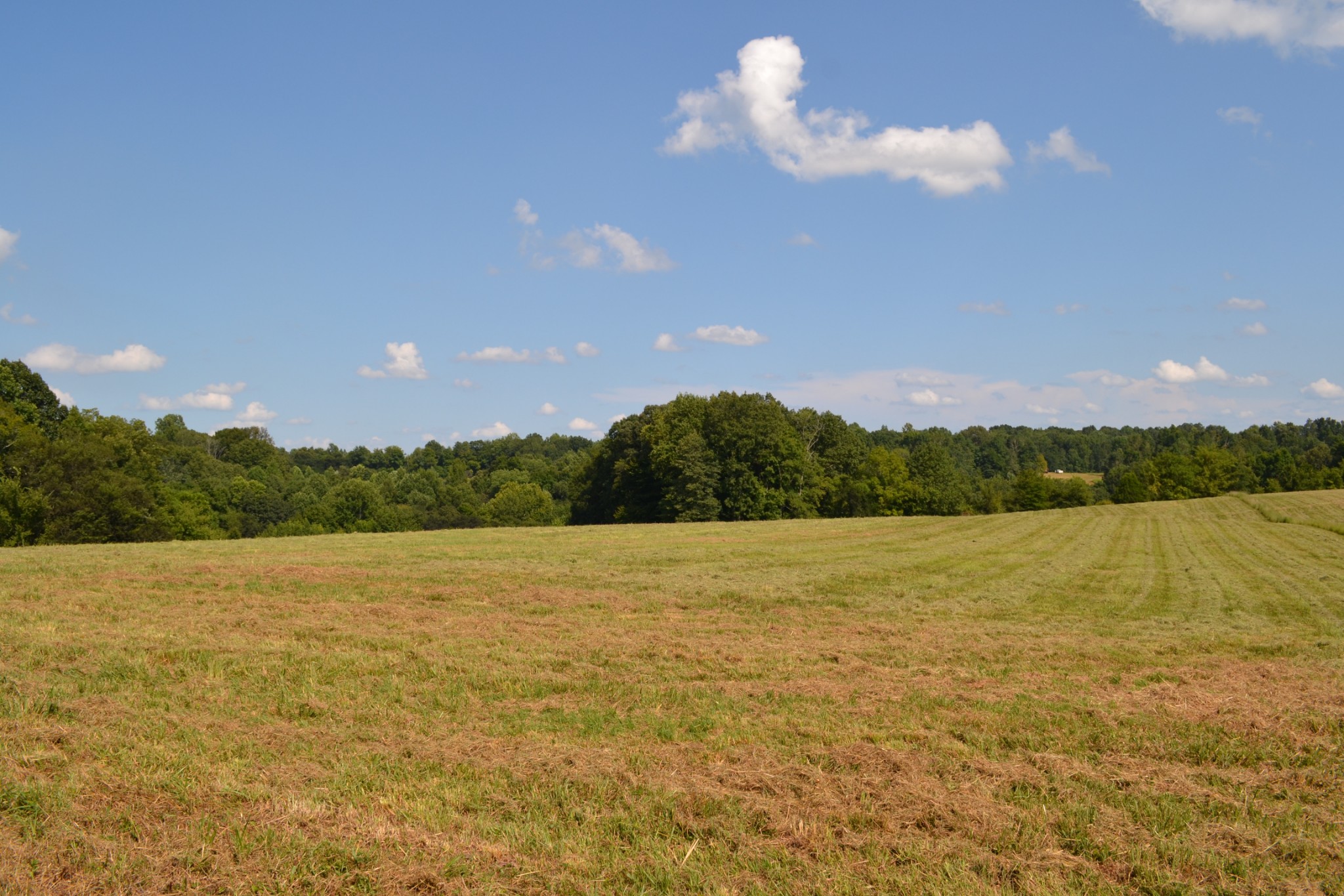 3 Kirkland Road Indian Mound, TN 37079 - Photo 3 of 6 Gallery Image 3