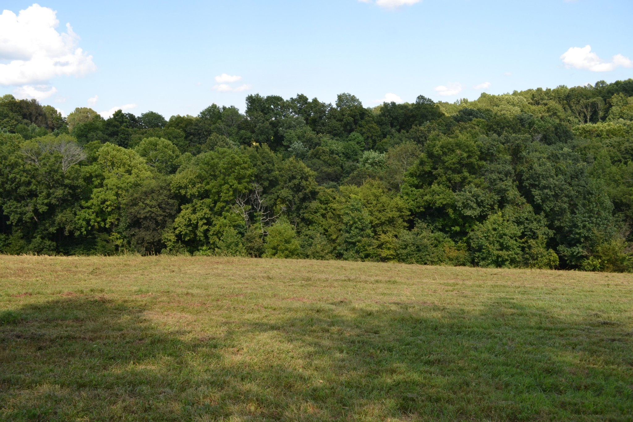 3 Kirkland Road Indian Mound, TN 37079 - Photo 5 of 6 Gallery Image 5