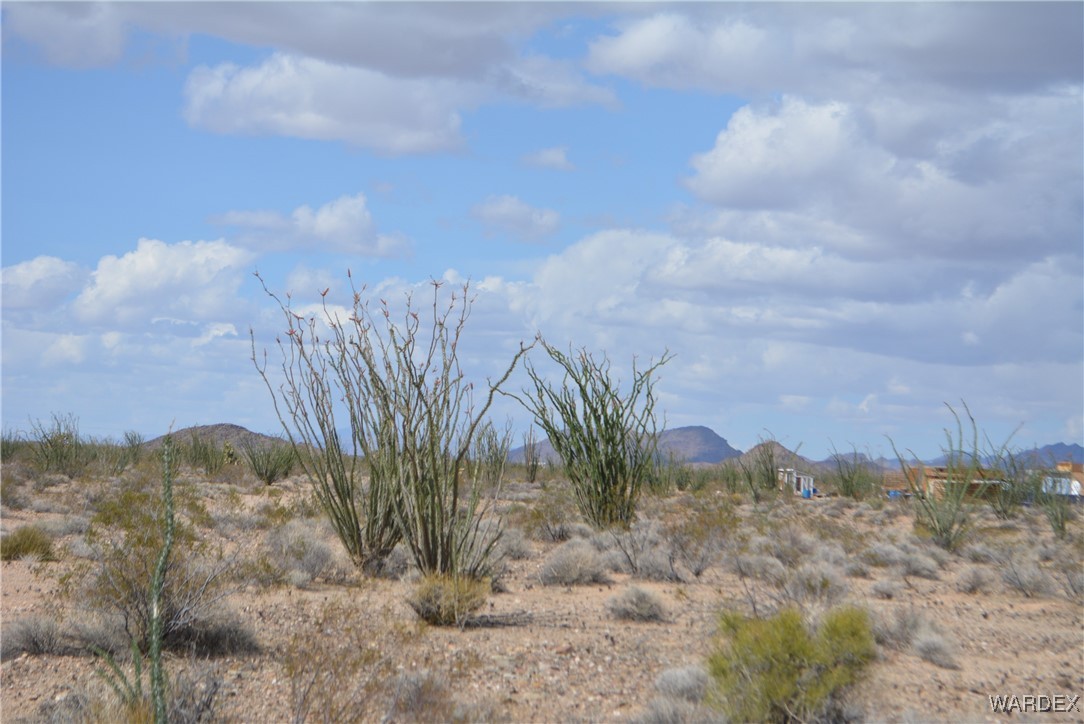 245-24-107 South Rainbow Road Yucca, AZ 86438 - Photo 80 of 91