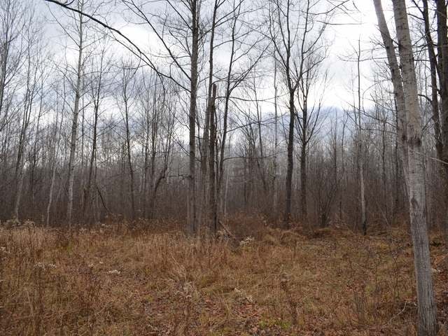 On Armstrong Creek Road Tomahawk, WI 54487 - Photo 14 of 20 Gallery Image 14