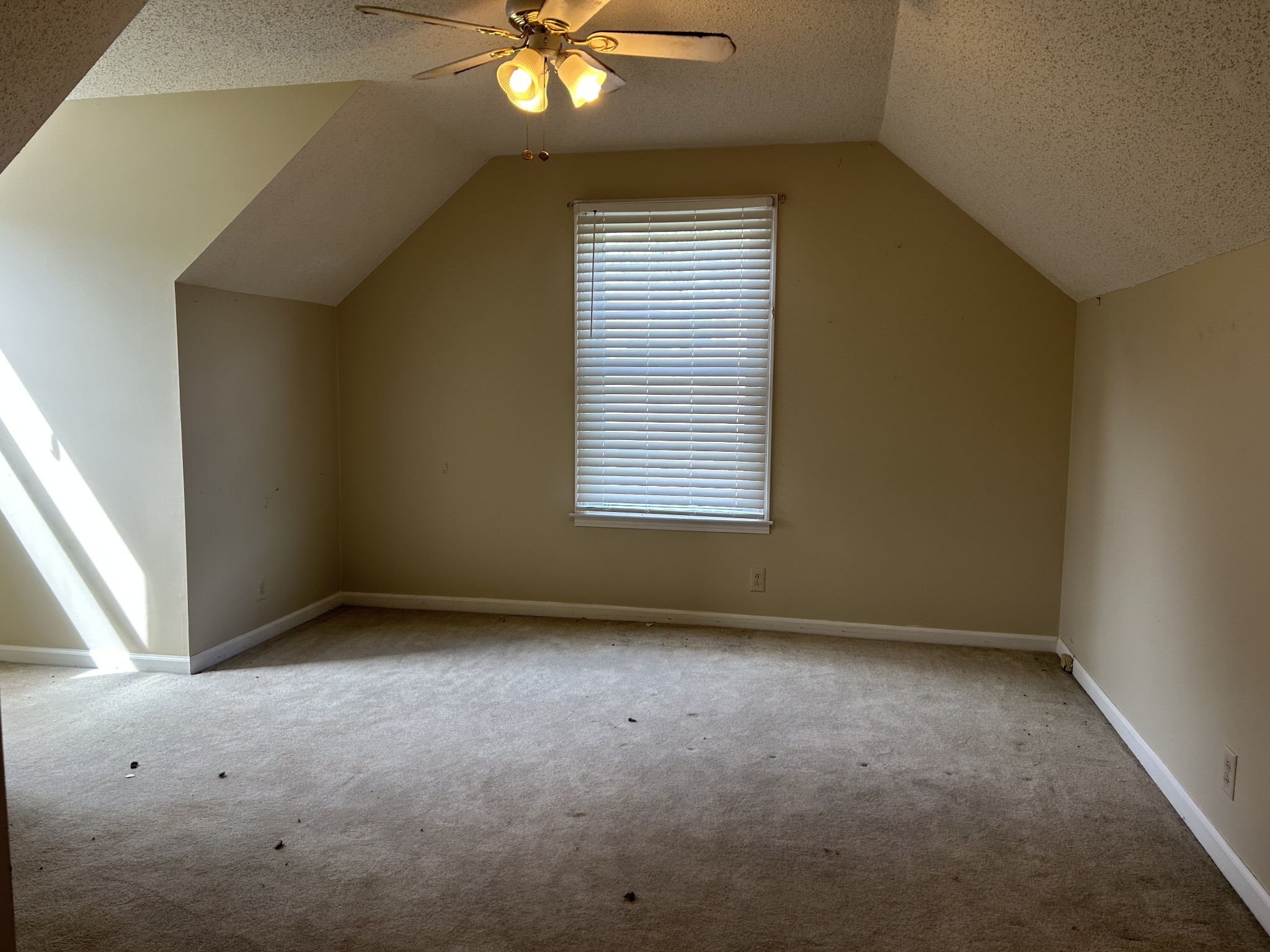 2319 7 Mile Ferry Road Clarksville, TN 37040 - Photo 10 of 15 an empty room with a window