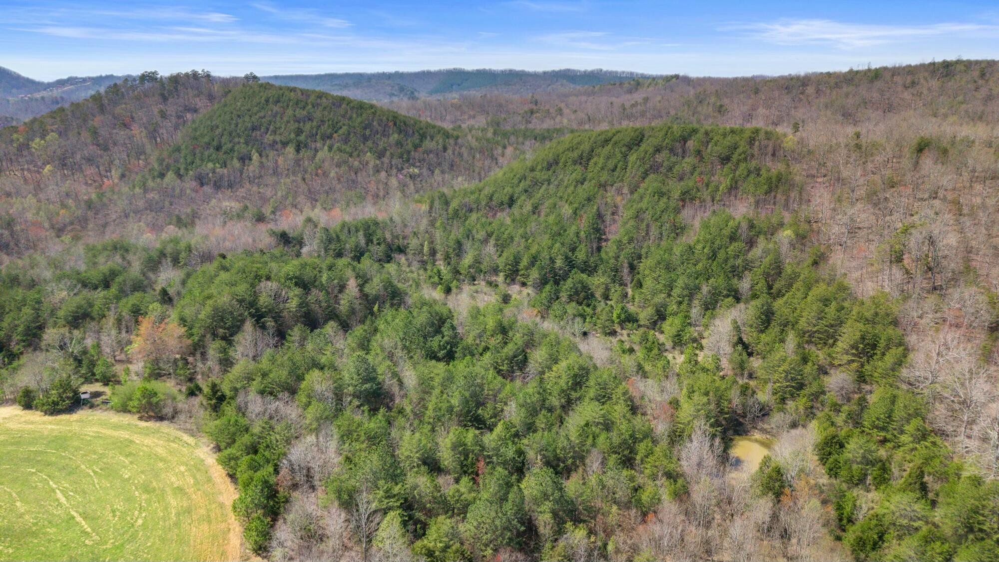 0 Harrison Pike Southwest McDonald, TN 37353 - Photo 14 of 26