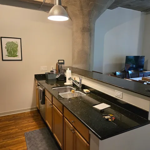 $339,900 | 1111 West 15th Street, Unit 228, Chicago, IL 60608