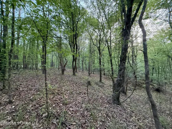 $250,000 | Undisclosed Address, Lorman, MS 39096