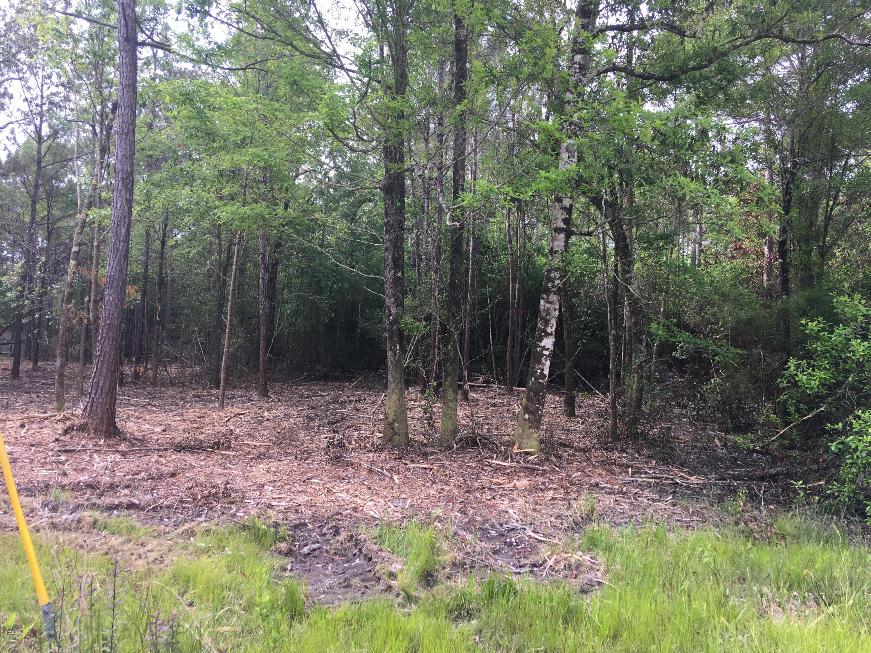 15355 Cemetery Road Gulfport, MS 39503 - Photo 3 of 13 IMG_4854