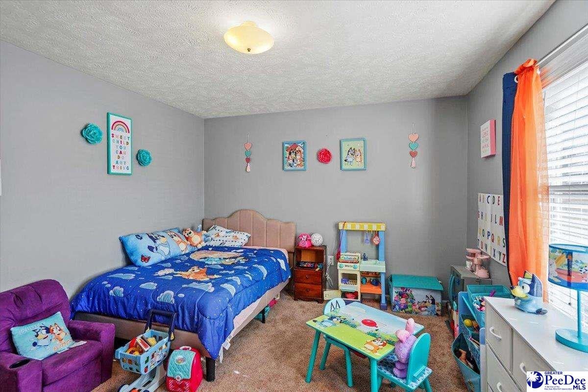 119 State Rd S-35-786 Bennettsville, SC 29512 - Photo 29 of 47 Gallery Image 29