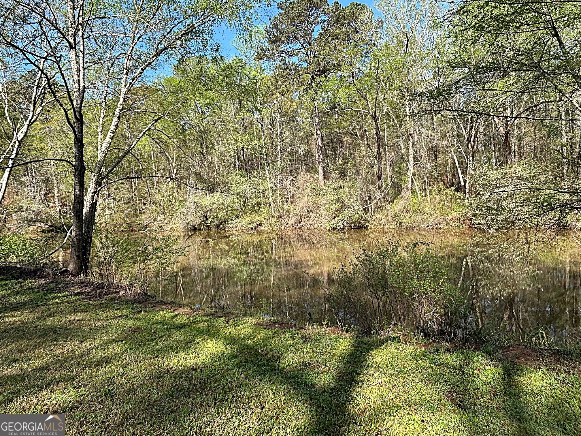 1918 Woodland Road Thomaston, GA 30286 - Photo 3 of 15