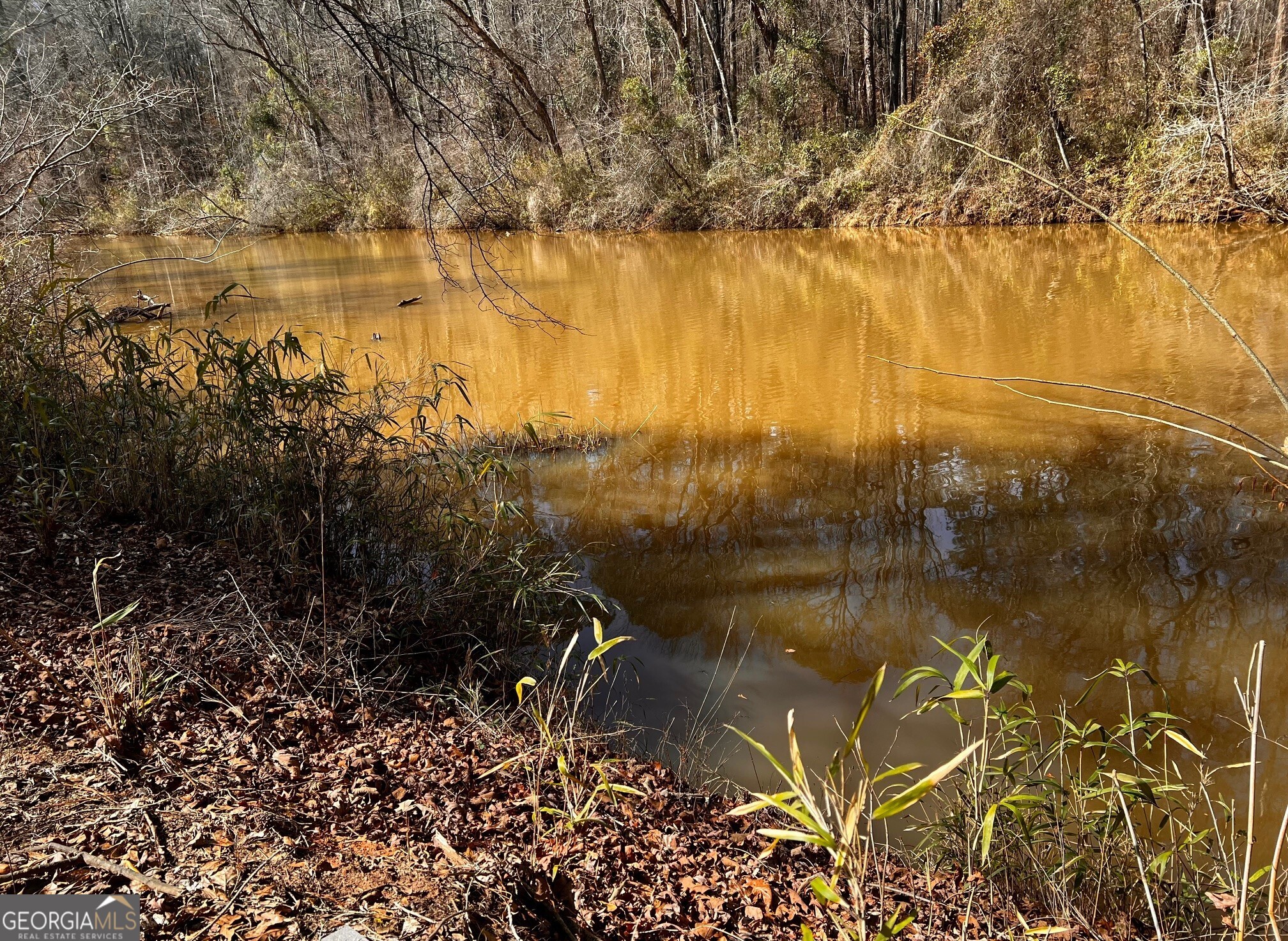 1918 Woodland Road Thomaston, GA 30286 - Photo 78 of 83