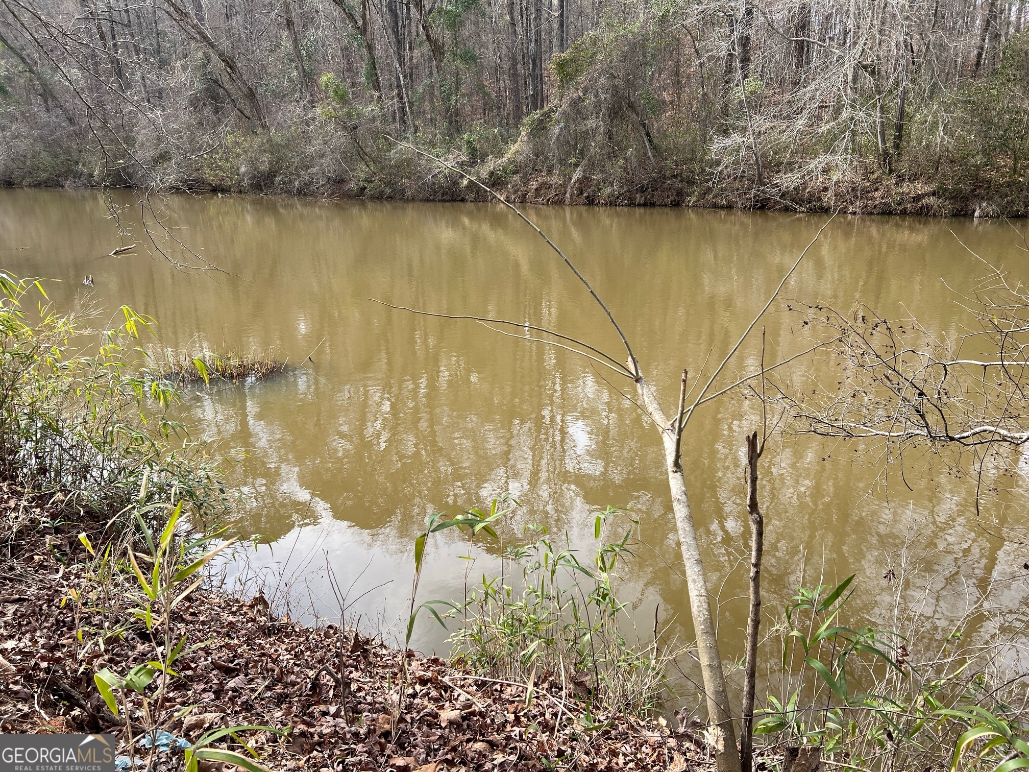 1918 Woodland Road Thomaston, GA 30286 - Photo 79 of 83