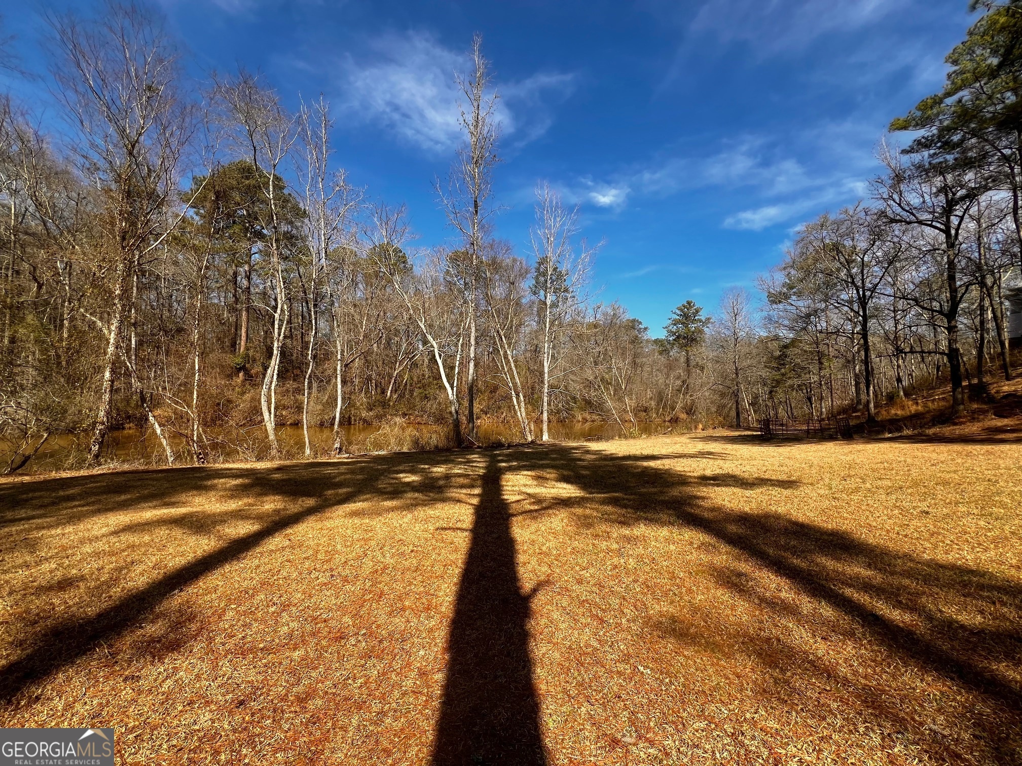 1918 Woodland Road Thomaston, GA 30286 - Photo 80 of 83