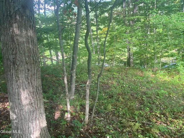 $65,000 | 12793 Highway 23A, Prattsville, NY 12468