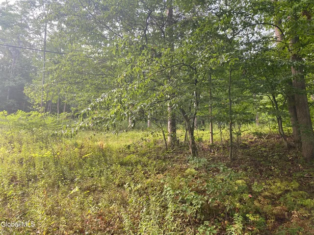 $65,000 | 12793 Highway 23A, Prattsville, NY 12468