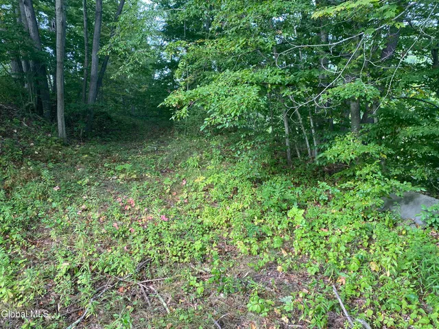 $65,000 | 12793 Highway 23A, Prattsville, NY 12468