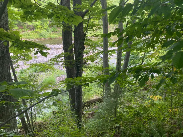 $65,000 | 12793 Highway 23A, Prattsville, NY 12468