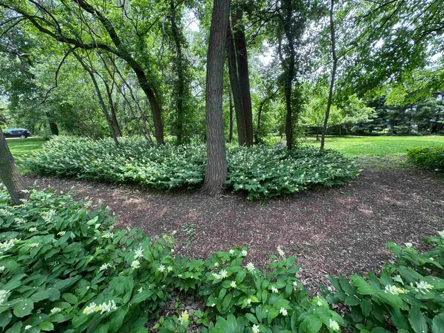 $749,900 | N222 2 Mile Road, Appleton, WI 54914