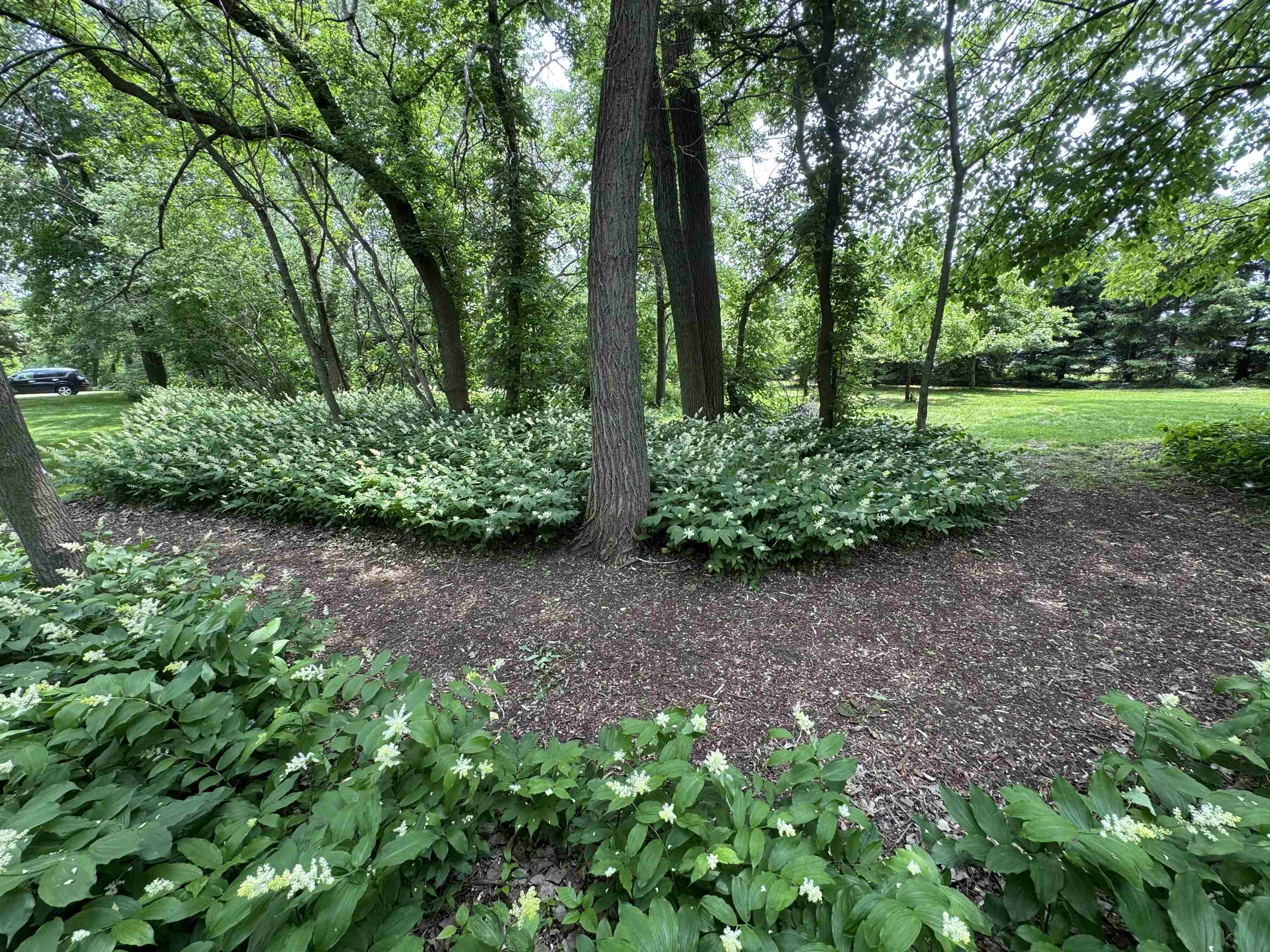 N222 2 Mile Road Appleton, WI 54914 - Photo 66 of 69