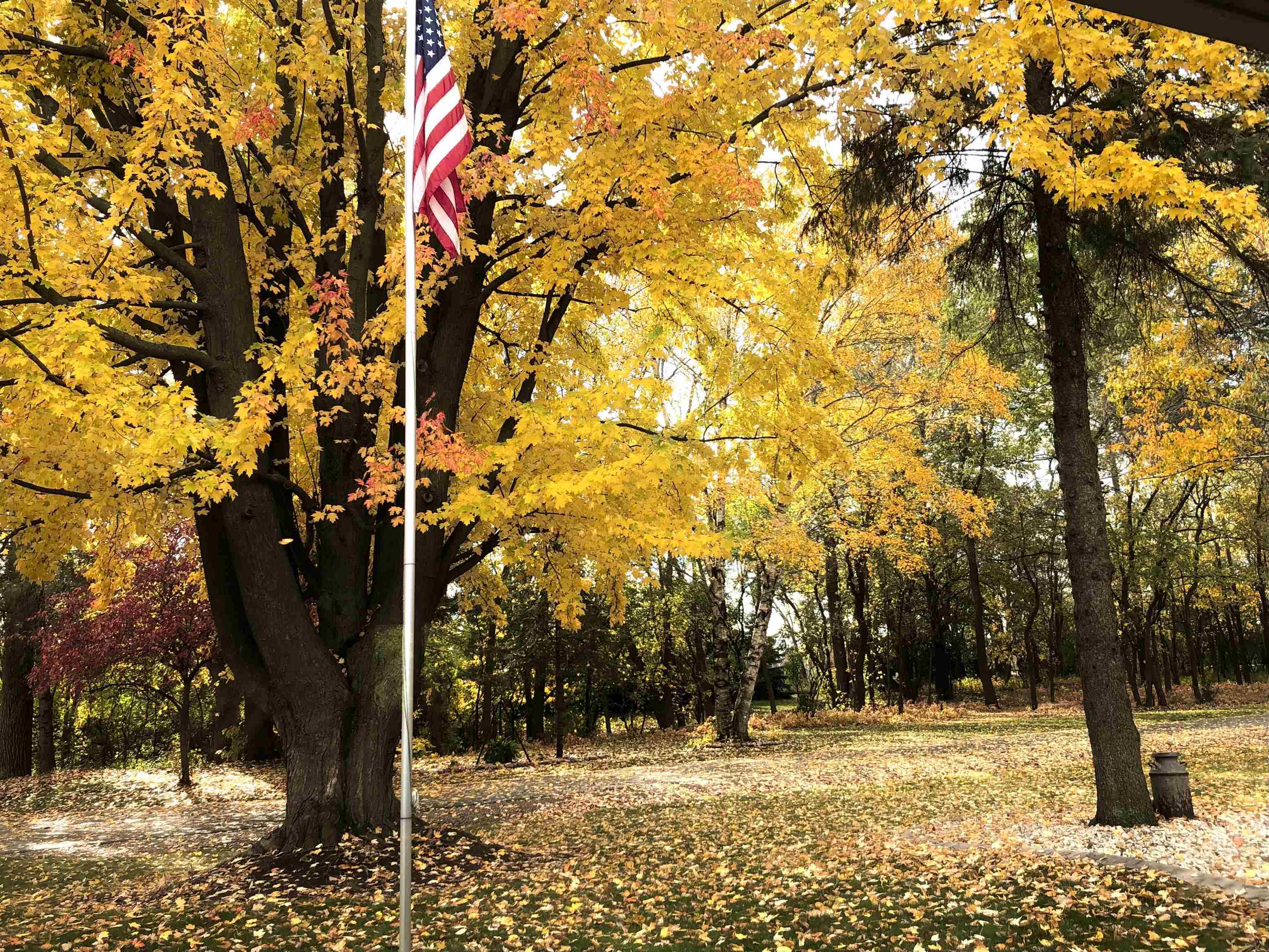 N222 2 Mile Road Appleton, WI 54914 - Photo 68 of 69