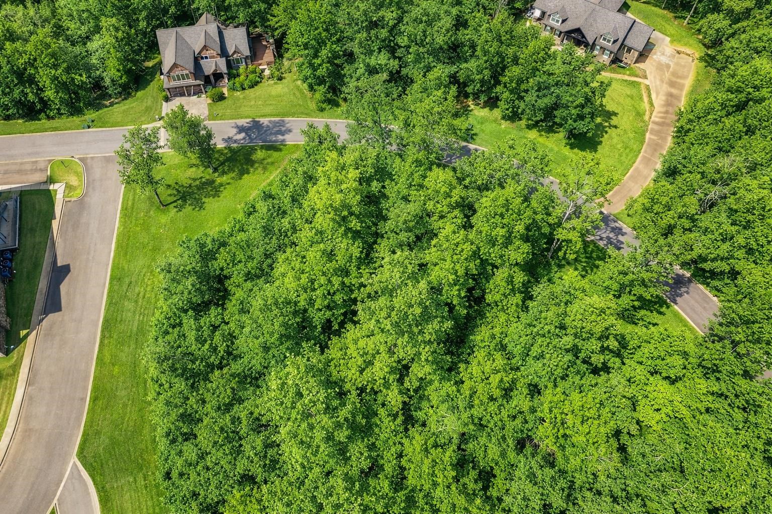 42 Breathtaking Loop Savannah, TN 38372 - Photo 8 of 35 an aerial view of residential house with outdoor space and trees all around