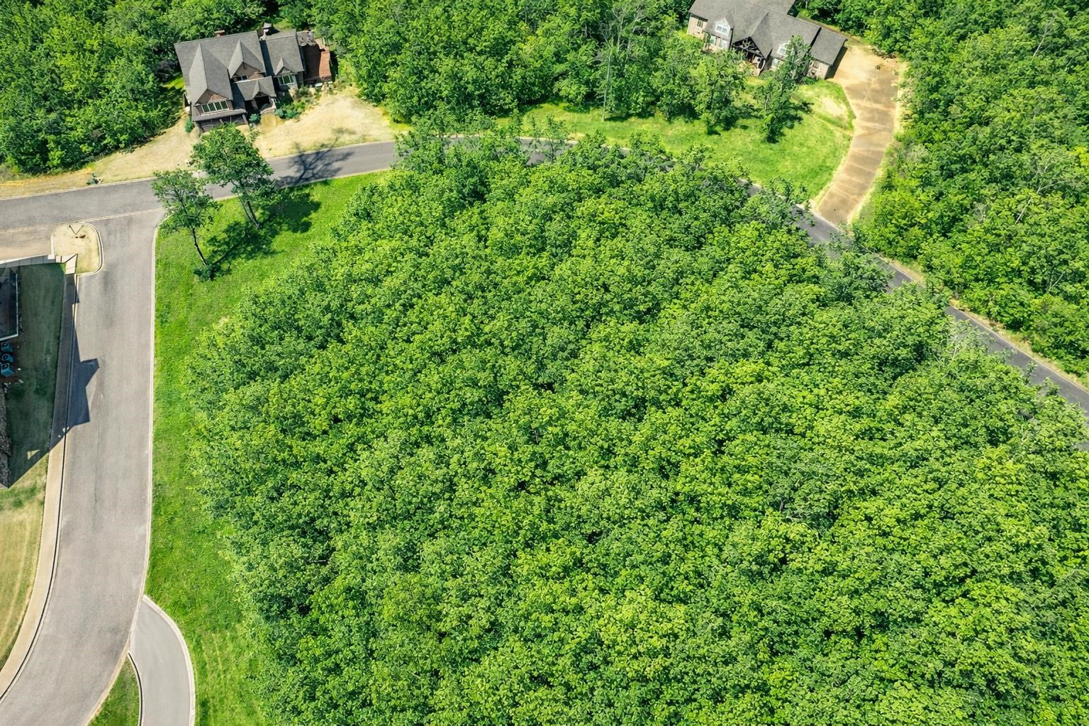 42 Breathtaking Loop Savannah, TN 38372 - Photo 9 of 35 a view of a yard with plants and large trees