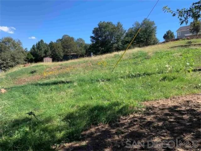 17461 Harrison Park Road Julian, CA 92036 - Photo 18 of 22 a view of a lush green space