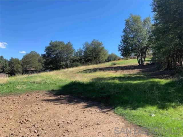 17461 Harrison Park Road Julian, CA 92036 - Photo 7 of 22 a view of outdoor space and yard