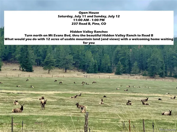 $818,500 | 237 Rd B, Pine, CO 80470