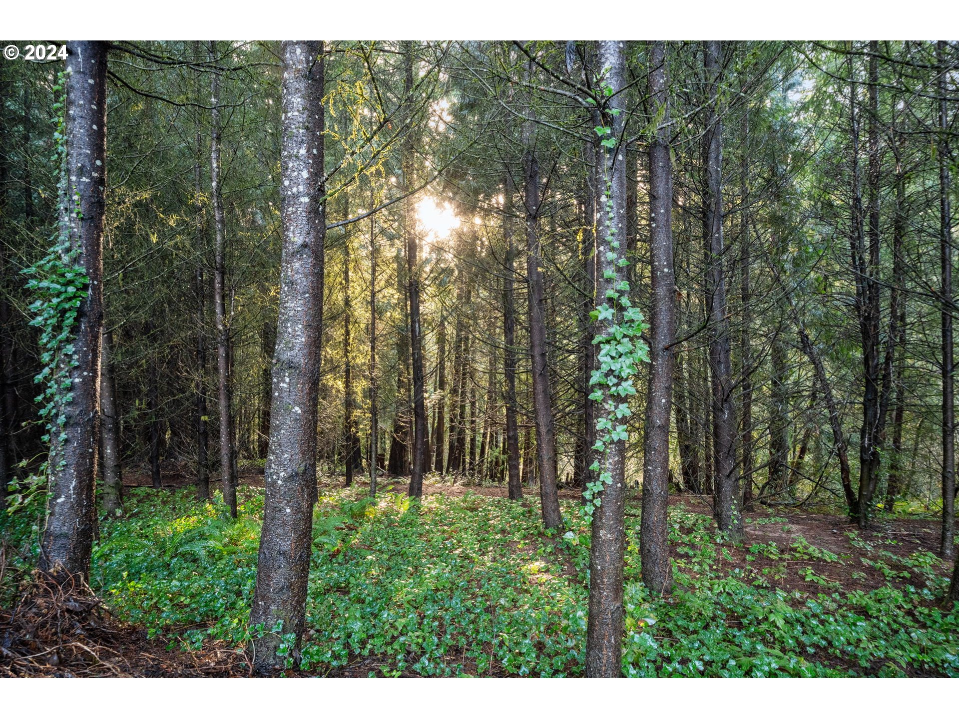 17060 Southwest Weir Road Beaverton, OR 97007 - Photo 37 of 44 Gallery Image 37