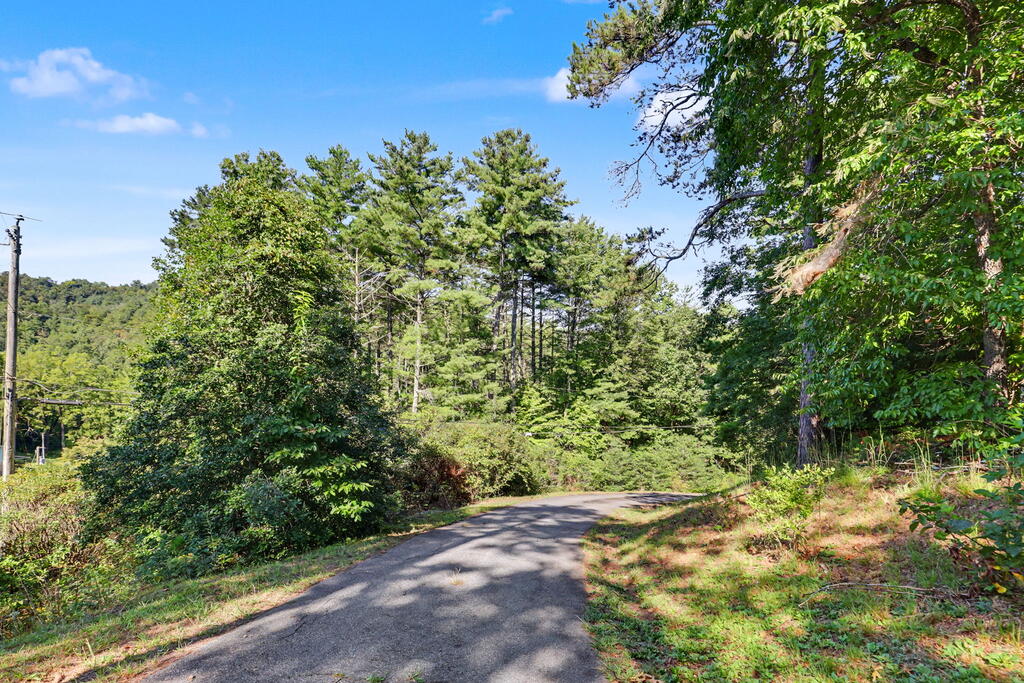 670 Long Branch Road Marble, NC 28905 - Photo 19 of 53 Gallery Image 19