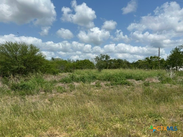 0 2506 Farm Road Fannin, TX 77960 - Photo 3 of 4 a view of a big yard with plants and large trees