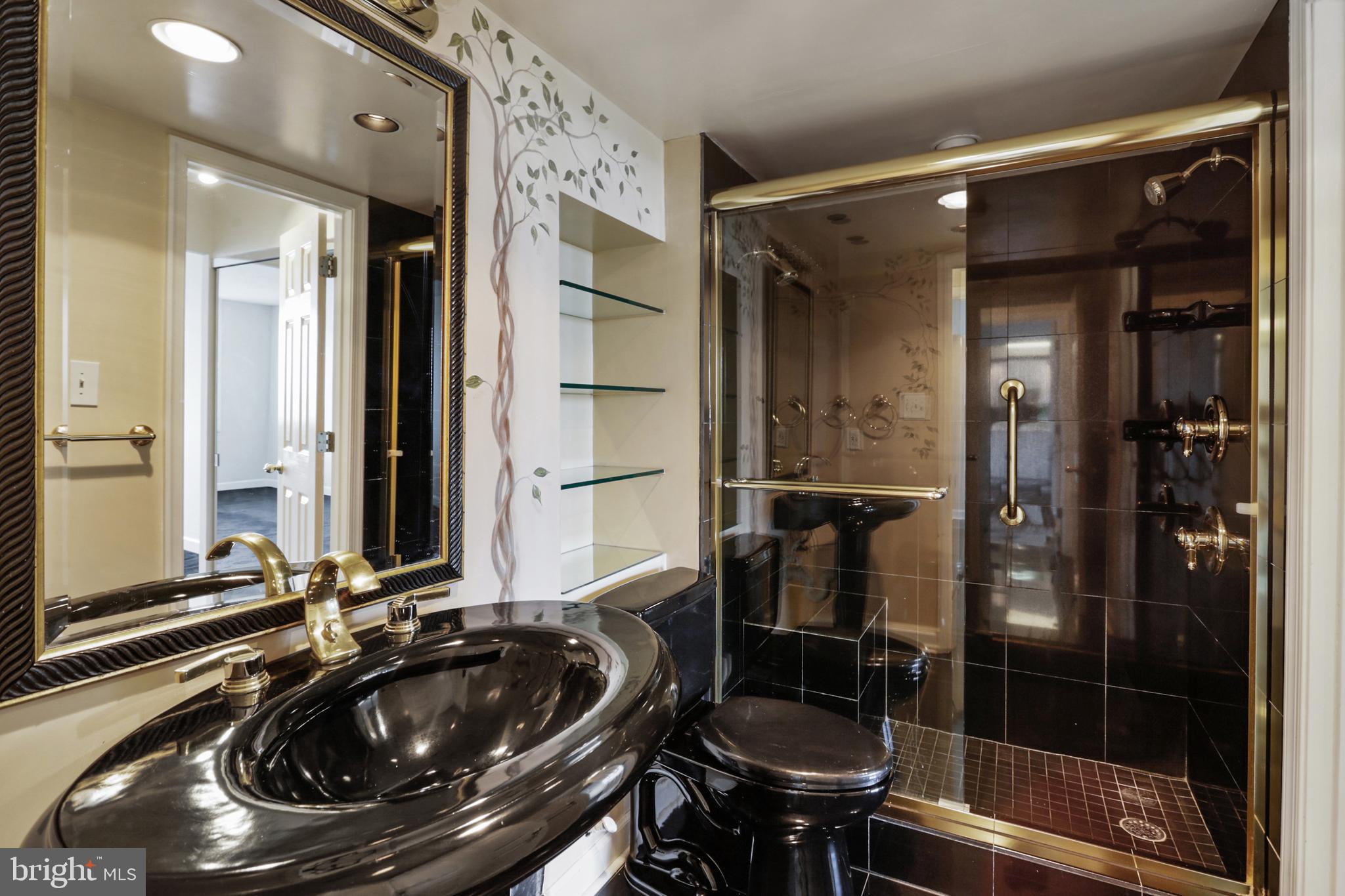 5225 Pooks Hill Road, Unit 1619S Bethesda, MD 20814 - Photo 14 of 54 Bathroom