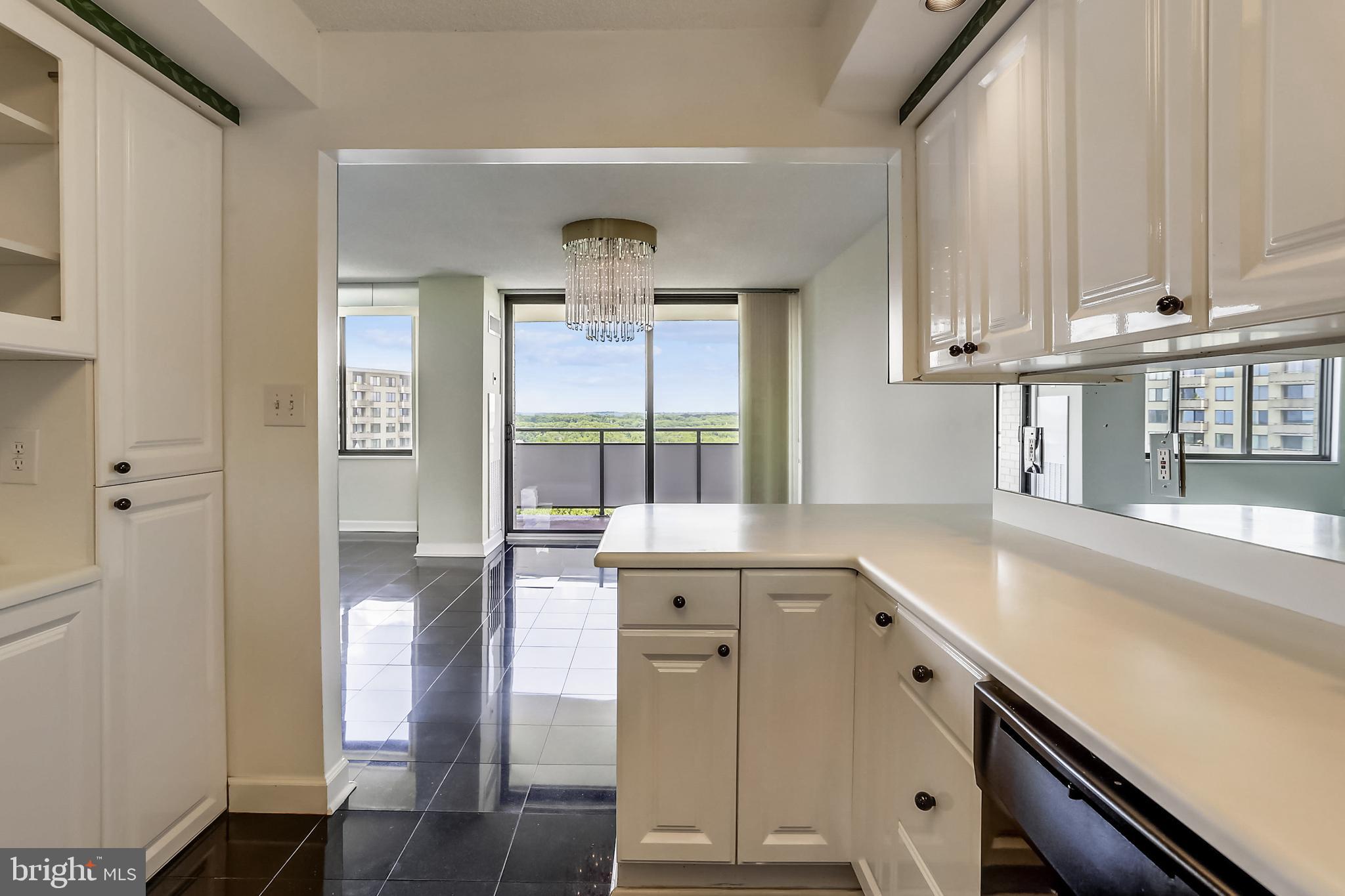 5225 Pooks Hill Road, Unit 1619S Bethesda, MD 20814 - Photo 3 of 54 Kitchen