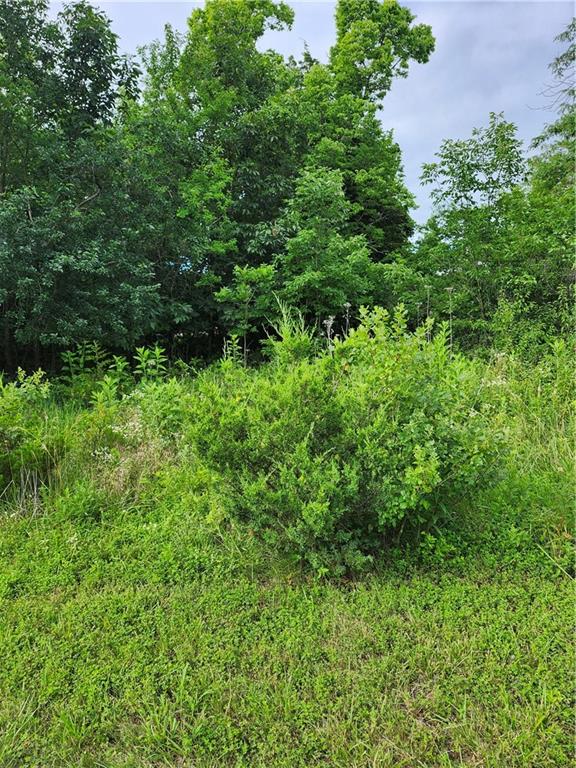9 East Ridgewood Circle Linn Valley, KS 66040 - Photo 4 of 8