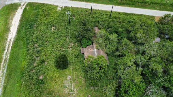 a view of a lush green yard