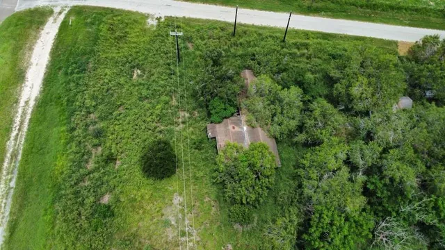 a view of a lush green yard
