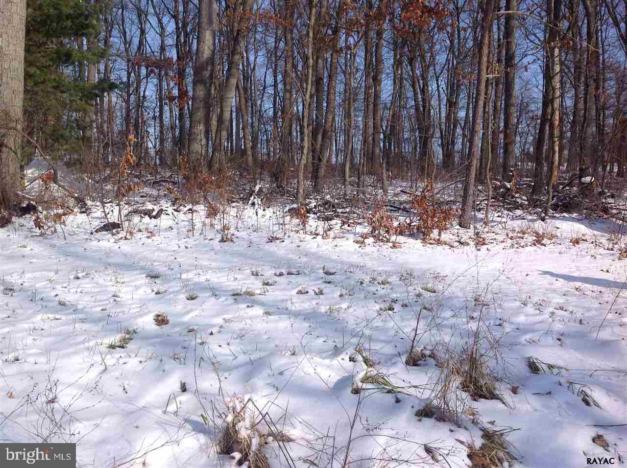 Lot 1 Barts Church Road, Unit 1 Hanover, PA 17331 - Photo 16 of 21