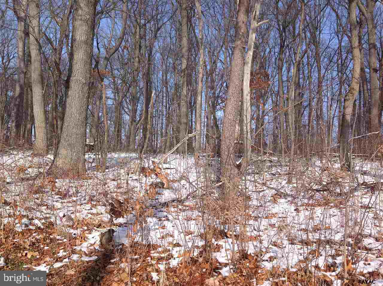 Lot 1 Barts Church Road, Unit 1 Hanover, PA 17331 - Photo 17 of 21
