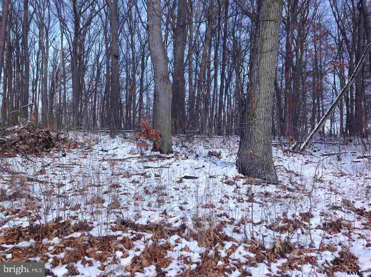 Lot 1 Barts Church Road, Unit 1 Hanover, PA 17331 - Photo 18 of 21