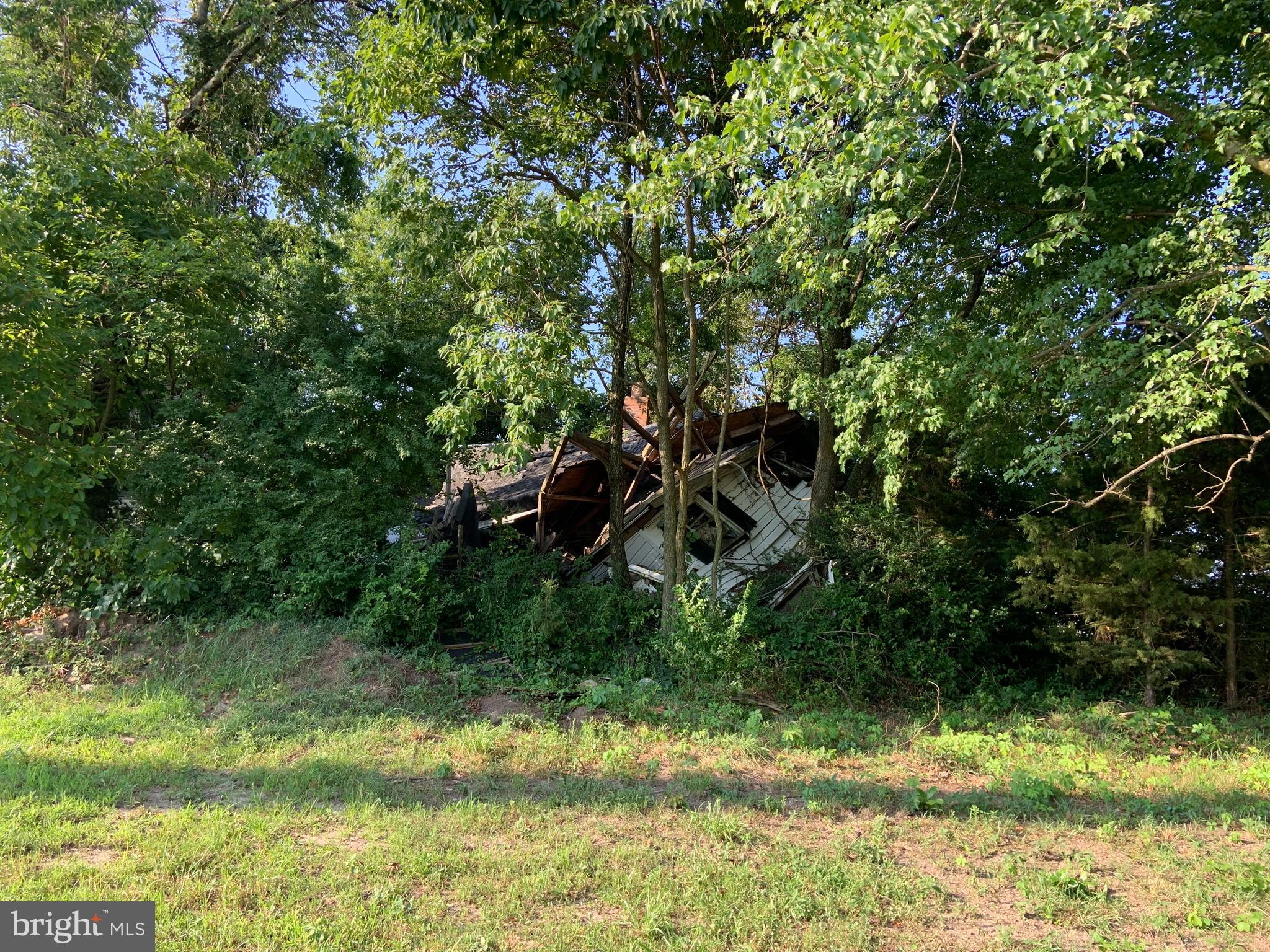 20929 Johnson Road Lincoln, DE 19960 - Photo 4 of 5