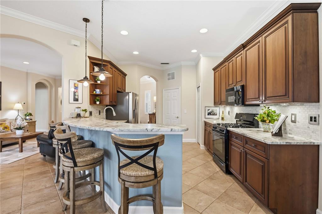 154 Rimini Way North Venice, FL 34275 - Photo 36 of 80