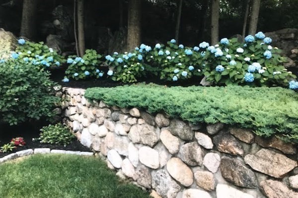 6 Range Heights Road Lynn, MA 01904 - Photo 29 of 34 Gallery Image 29