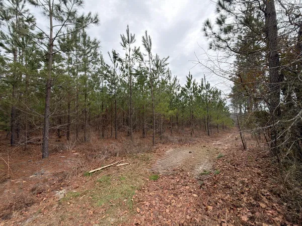 $69,900 | 3 J C J C Barefoot Road, Patrick, SC 29584