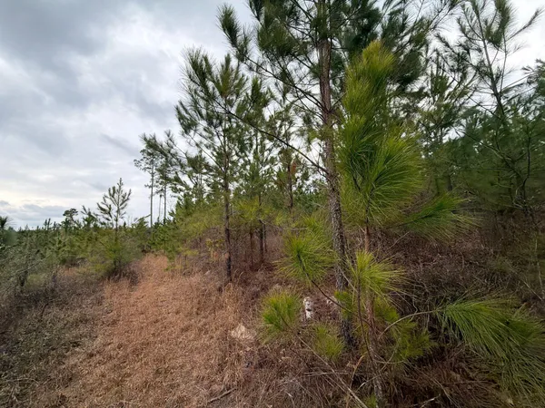 $69,900 | 3 J C J C Barefoot Road, Patrick, SC 29584