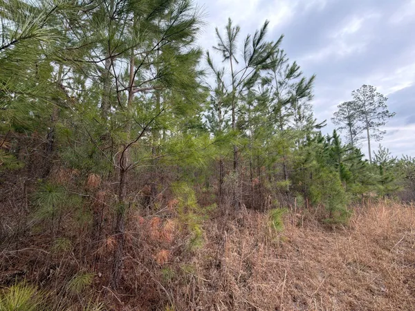 $69,900 | 3 J C J C Barefoot Road, Patrick, SC 29584