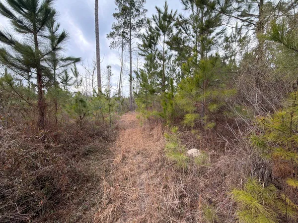 $69,900 | 3 J C J C Barefoot Road, Patrick, SC 29584