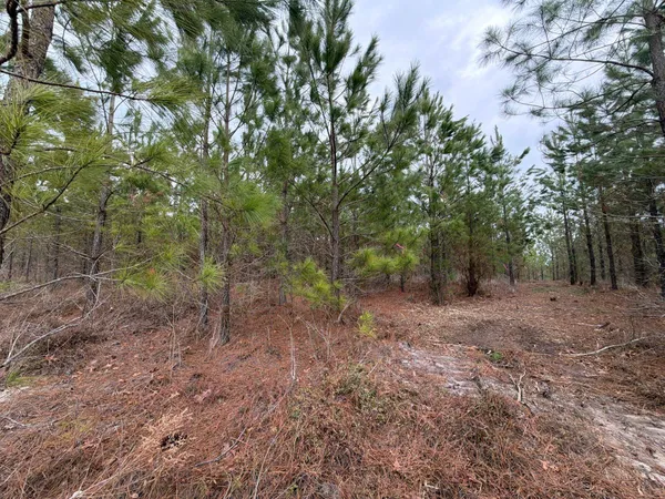 $69,900 | 3 J C J C Barefoot Road, Patrick, SC 29584