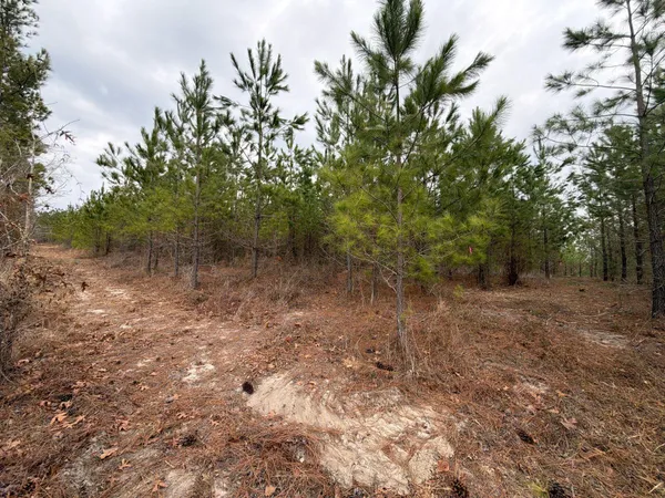 $69,900 | 3 J C J C Barefoot Road, Patrick, SC 29584