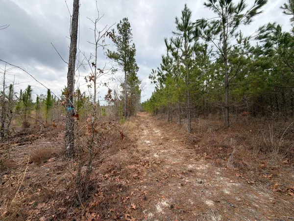 $69,900 | 3 J C J C Barefoot Road, Patrick, SC 29584