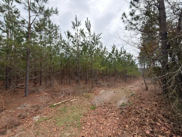 $69,900 | 3 J C J C Barefoot Road, Patrick, SC 29584