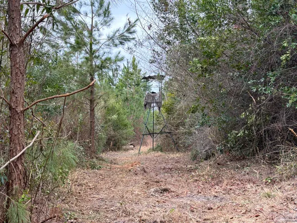 $69,900 | 3 J C J C Barefoot Road, Patrick, SC 29584